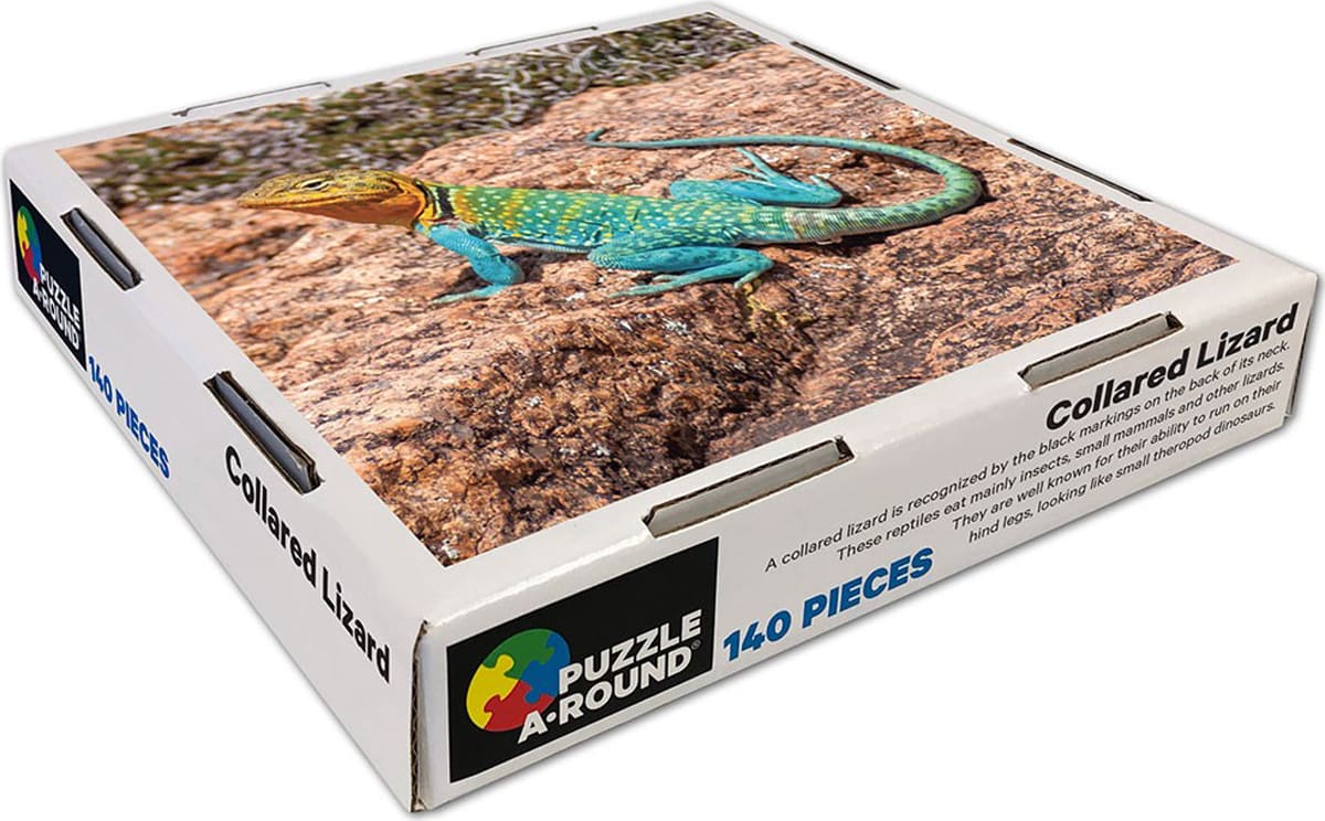 Collared Lizard Puzzle A&bull;Round: