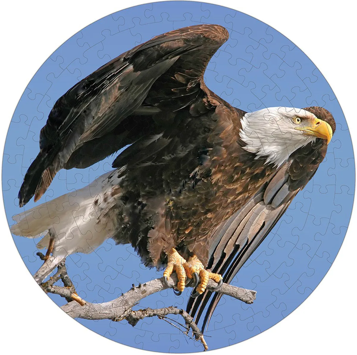 Bald Eagle Puzzle A&bull;Round: Birds