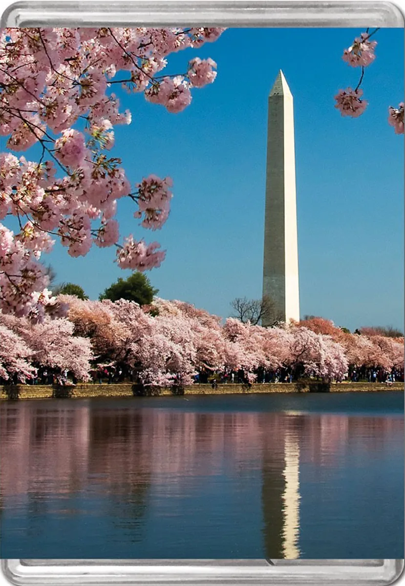 Washington Monument MiniPix&reg; Puzzle Landmarks & Monuments