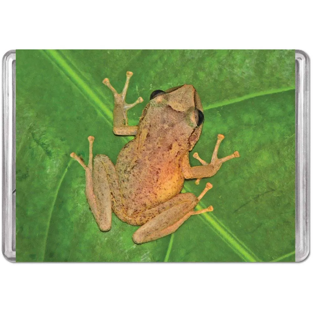 Coqui MiniPix&reg; Puzzle Reptile & Amphibian