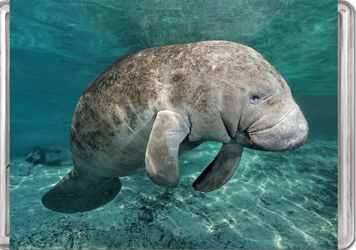 Manatee MiniPix&reg; Puzzle Animals