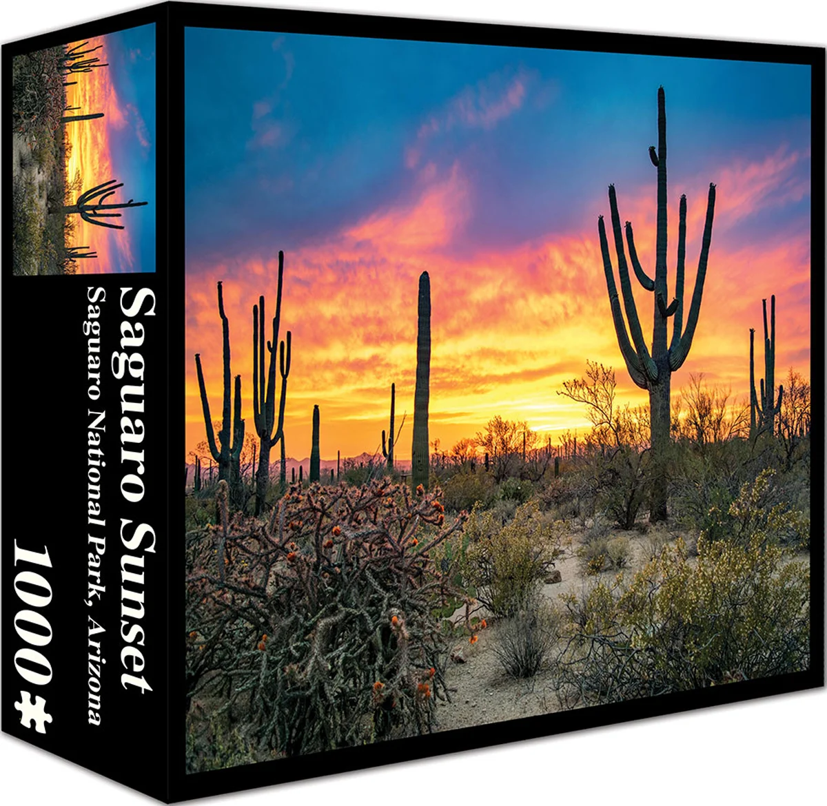 Saguaro Sunset