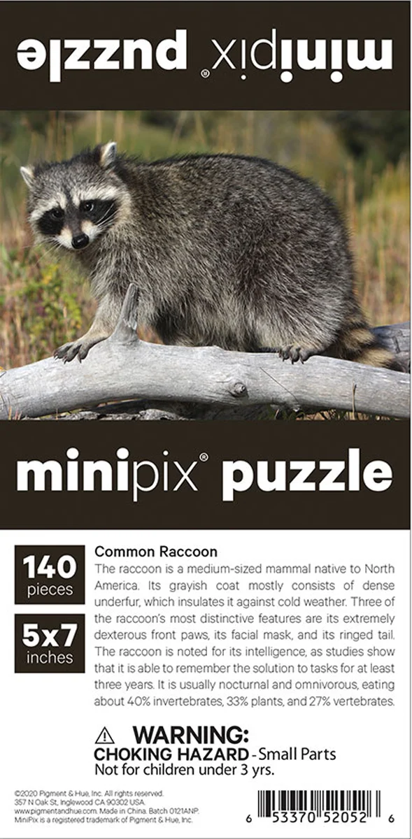 Common Raccoon Mini Puzzle
