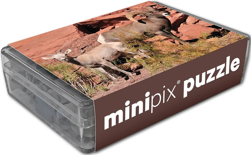 Desert Bighorn Sheep MiniPix&reg; Puzzle