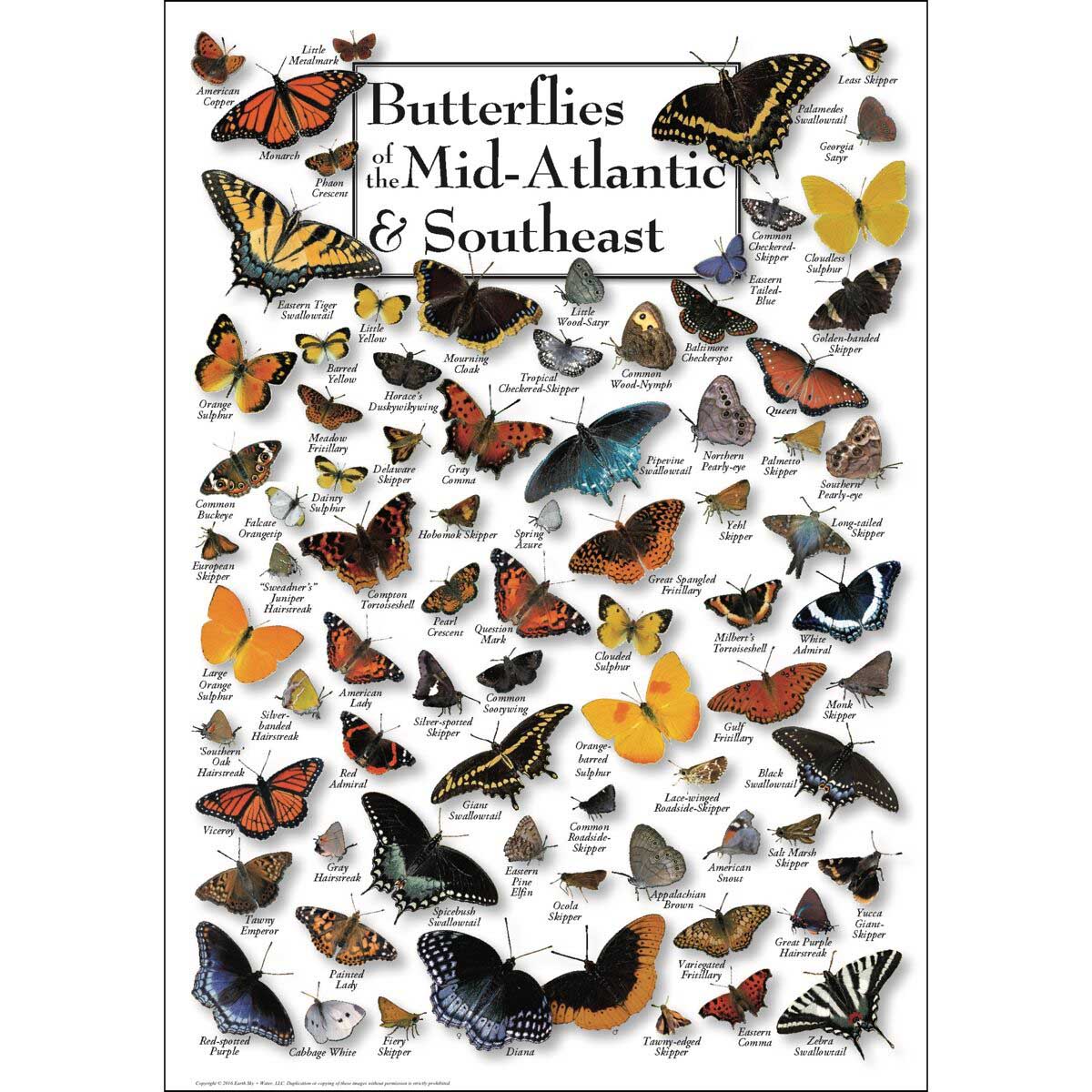 Butterflies of Mid-Atlantic & the Southeast Butterflies and Insects Jigsaw Puzzle