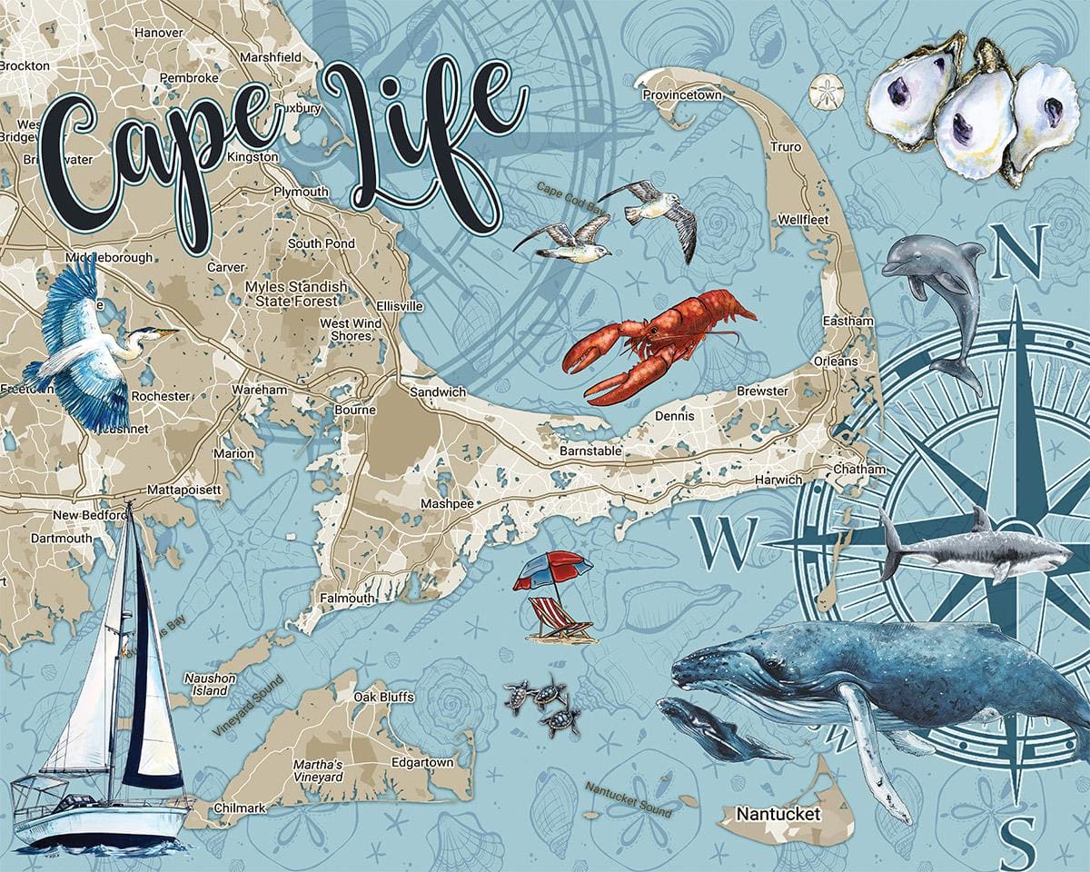Cape Life Maps & Geography