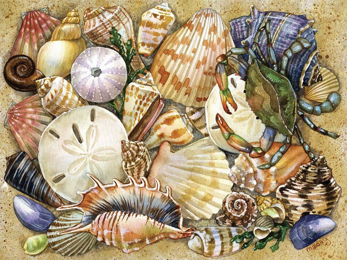 Tidal Treasures Collage