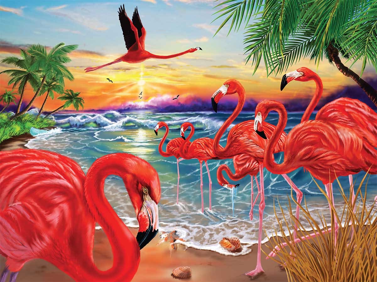 Flamingo Bay Birds