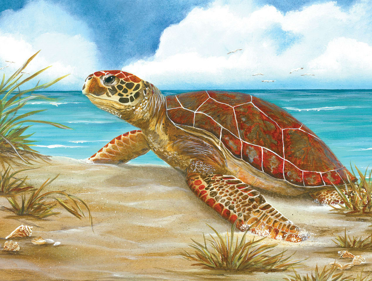 Perfect Spot Reptile & Amphibian