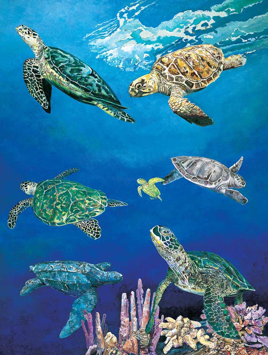 Majestic Sea Turtles Reptile & Amphibian