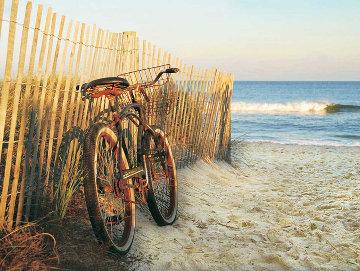 Beach Cruising - Scratch and Dent