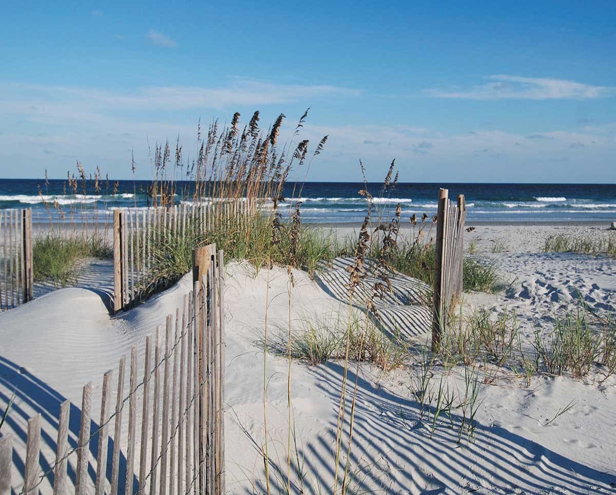 Wild Dunes Beach & Ocean