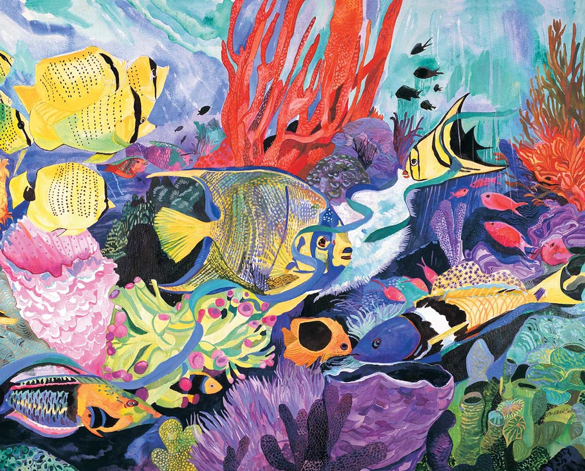 Rainbow Reef Beach & Ocean