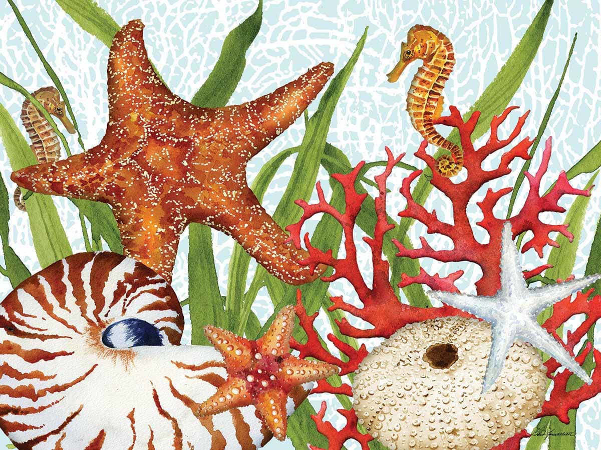 Seas the Day Beach & Ocean