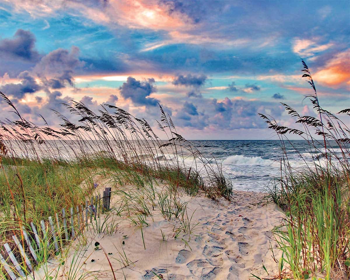 High Tide Beach & Ocean
