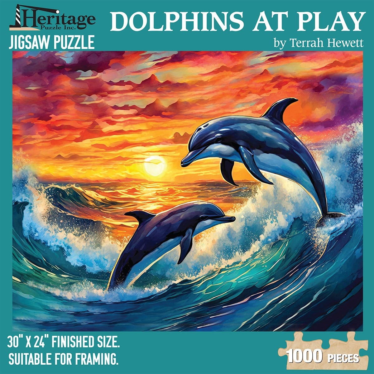 Dolphins at Play Sea Life