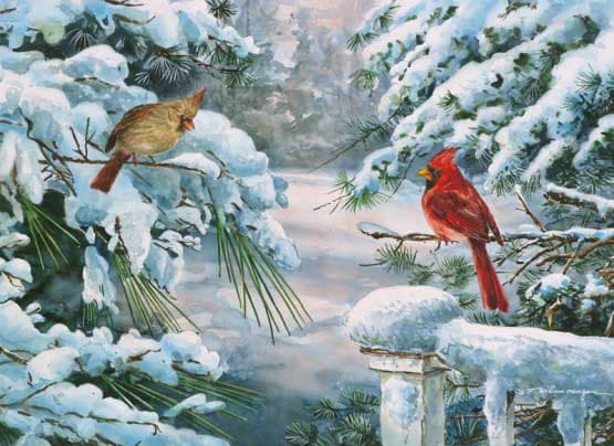Winter Companions Birds