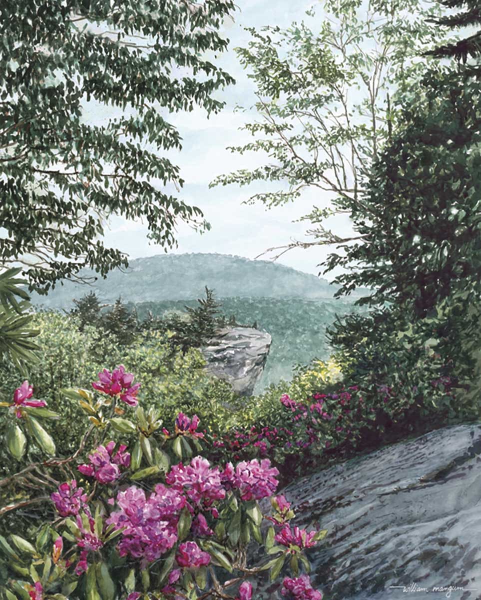 Blue Ridge Majesty - Scratch and Dent Mountain