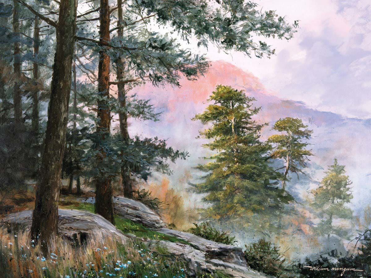 Western Sky Landscape