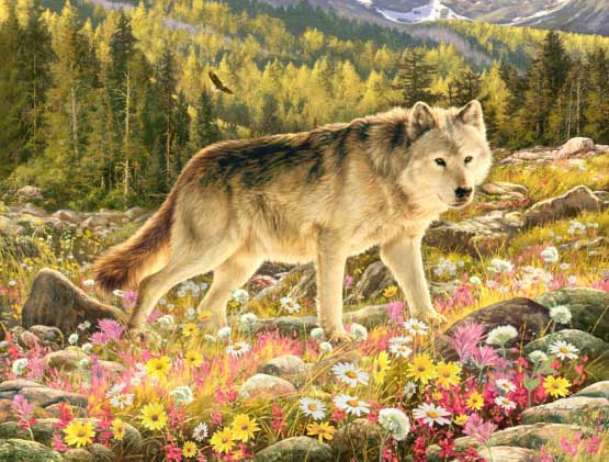 Lone Wolf Wolf Jigsaw Puzzle