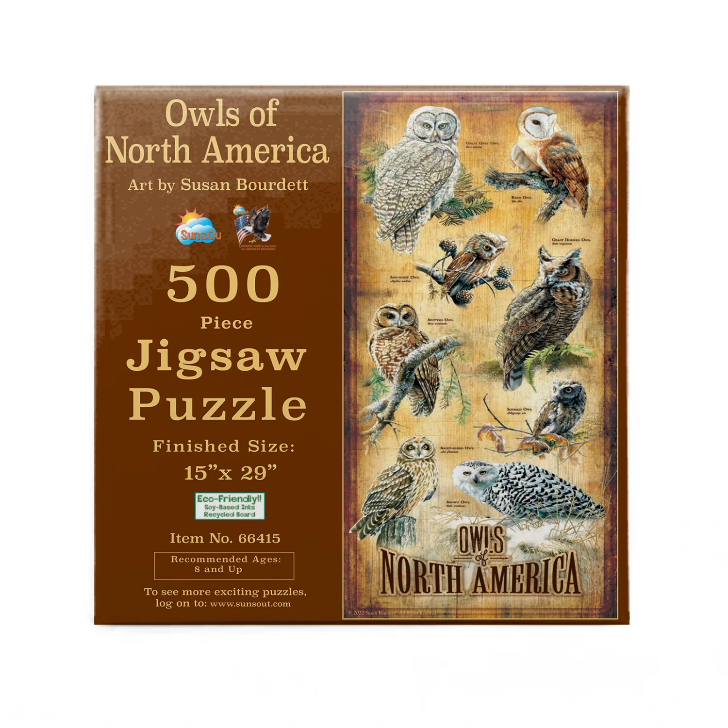 Owls of North America