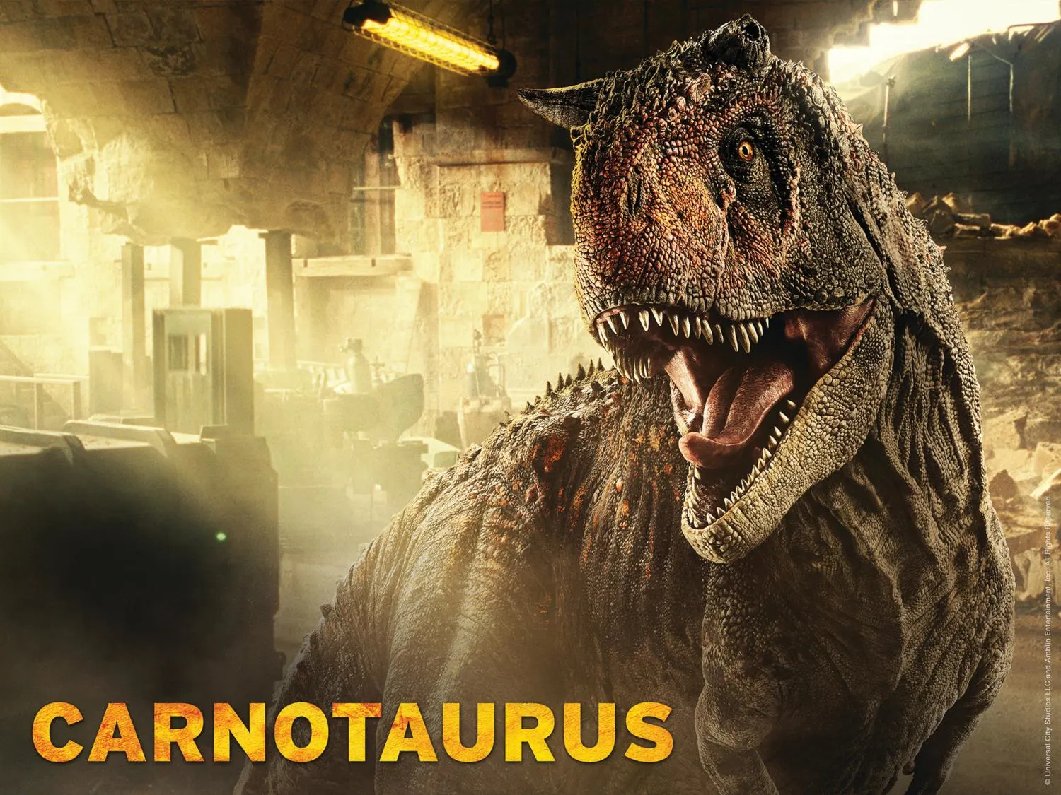 Carnotaurus VS Giganotosaurus