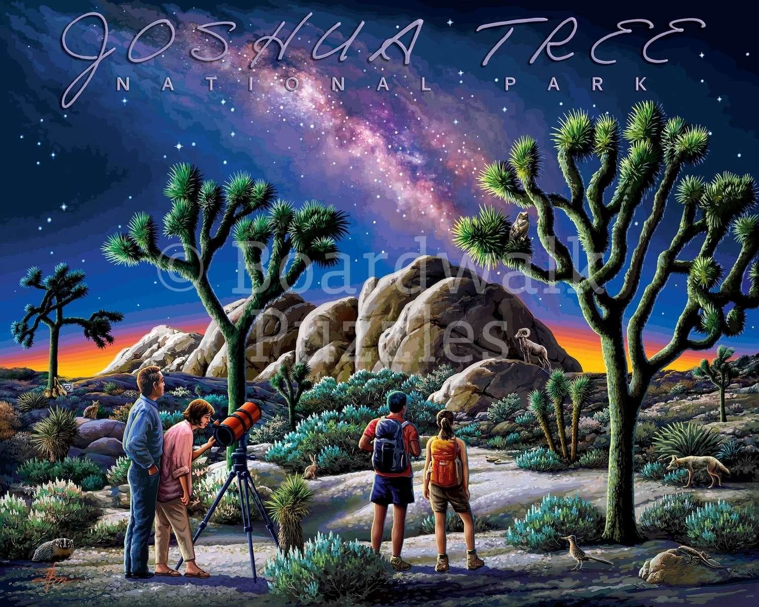 Joshua Tree National Park Landscape