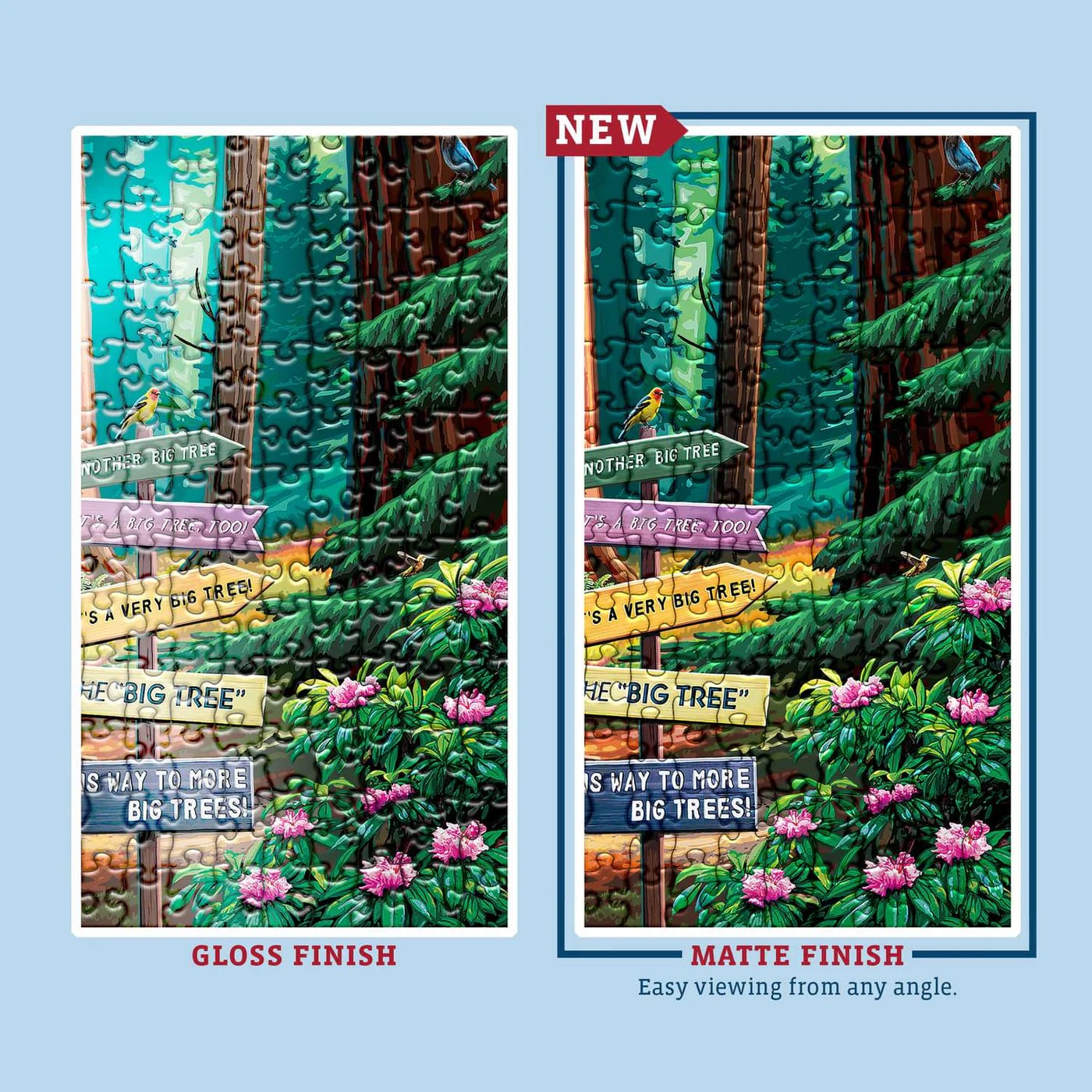 Redwood National Park