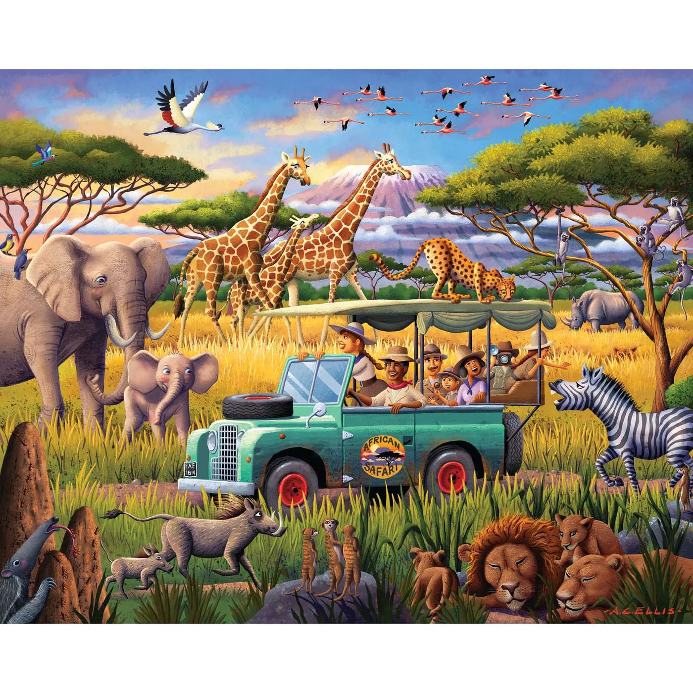 Safari Expedition