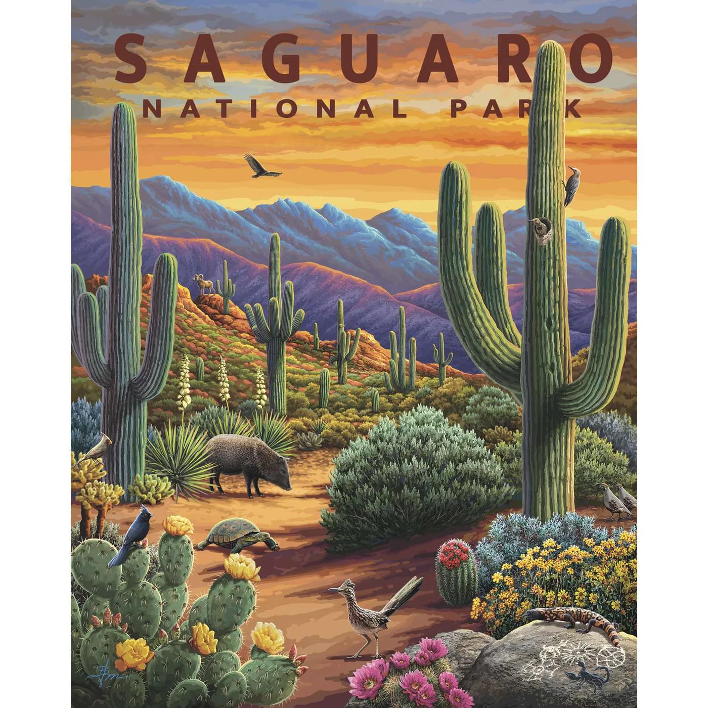 Saguaro National Park