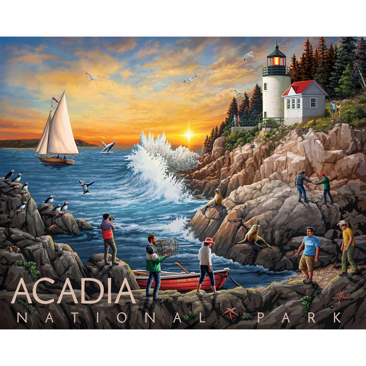 Acadia National Park 