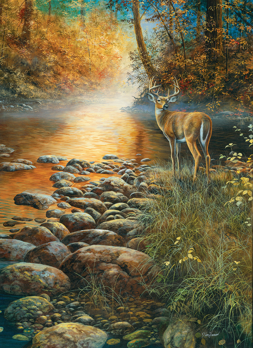 Forest Haven Forest Jigsaw Puzzle