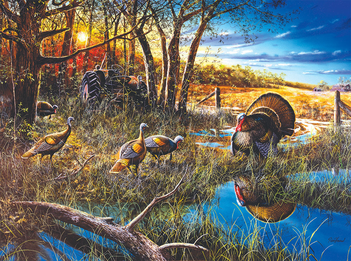 The Challenge Nature Jigsaw Puzzle