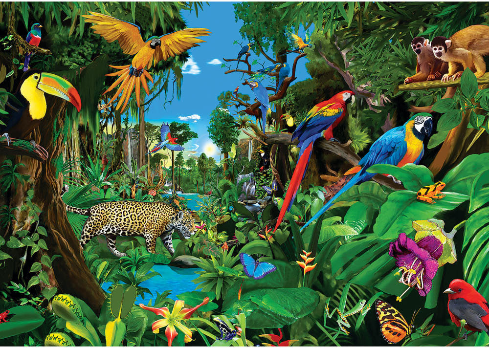 Amazon Sunrise - Scratch and Dent Birds