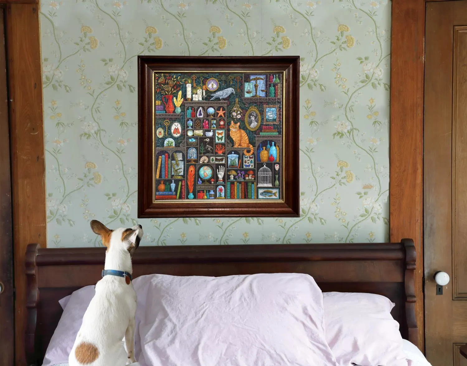 Alchemist's Cabinet - Scratch and Dent