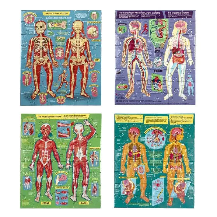 Ready to Learn- Human Anatomy 48Pc Set