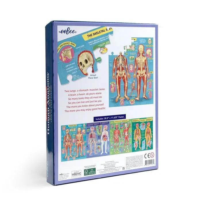Ready to Learn- Human Anatomy 48Pc Set