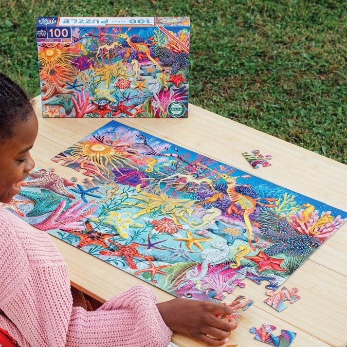 Seahorses, Sea Stars & Sea Slugs