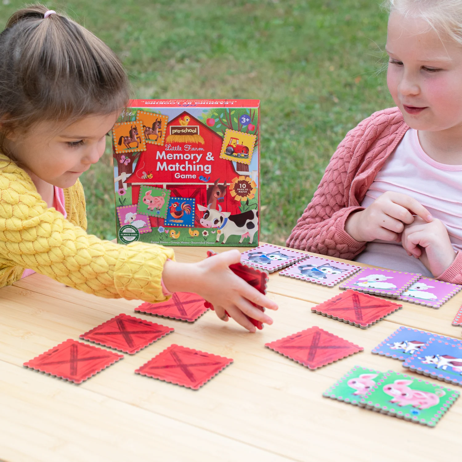 Pre-School Little Farm Matching Game