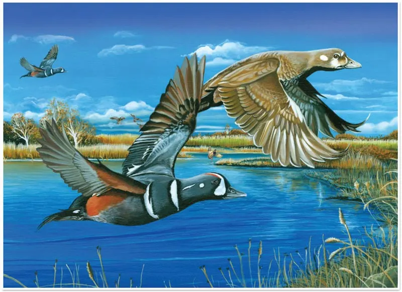 Harlequin Romance Birds