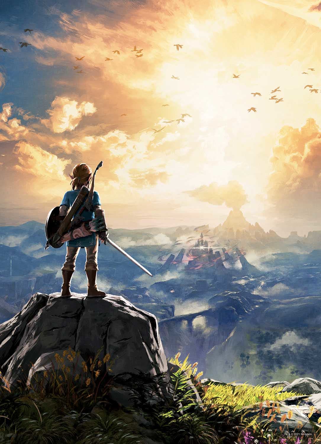 The Legend Of Zelda Breath Of The Wild Video Game