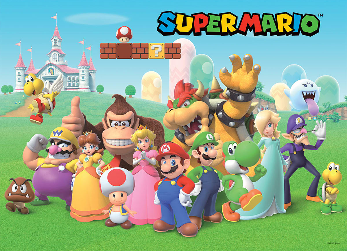 Super Mario Mushroom Kingdom Video Game