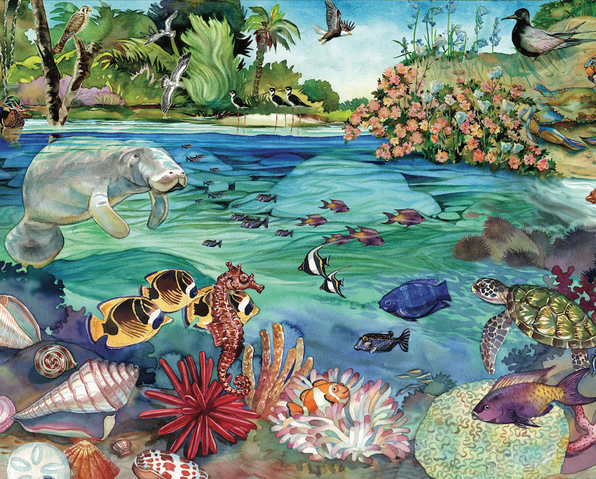 Florida Above and Below&nbsp;&nbsp; Sea Life