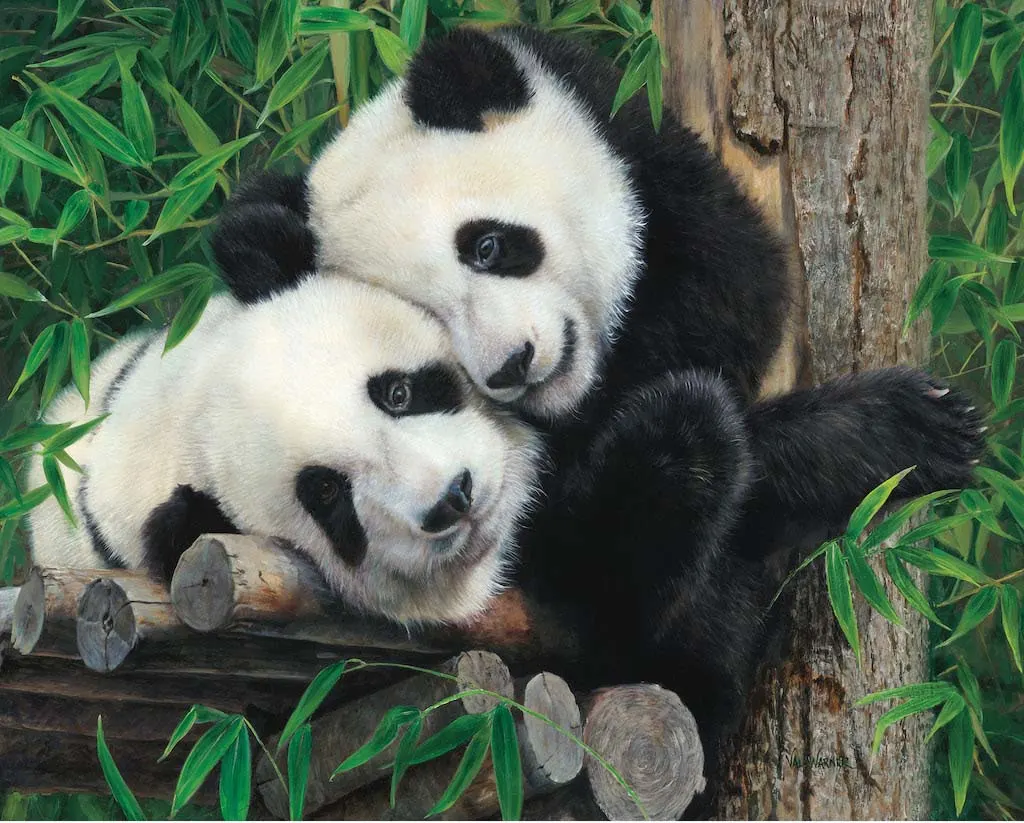 Bamboo Buddies  Bear