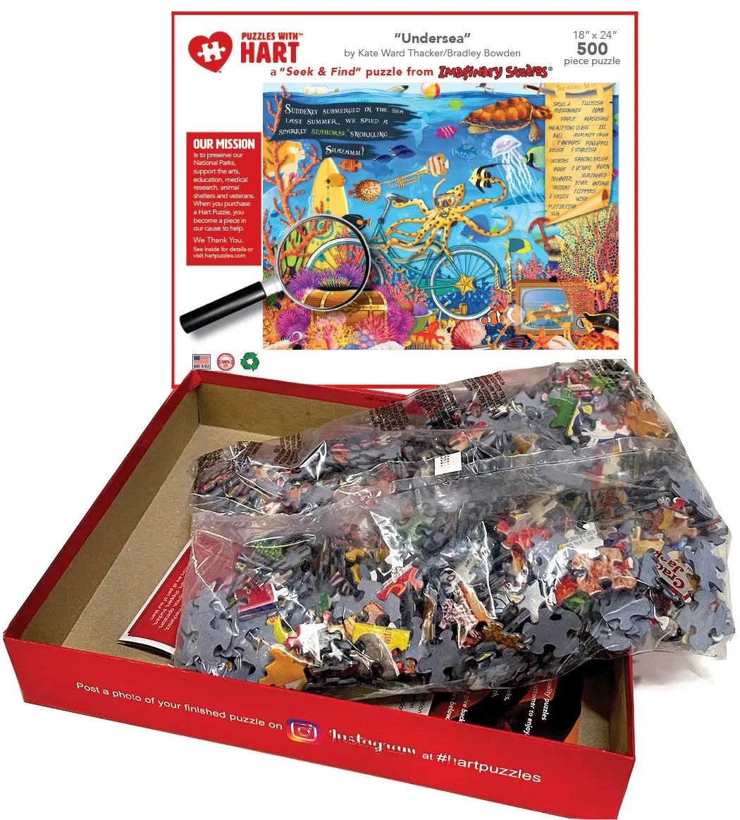 Seek & Find Undersea