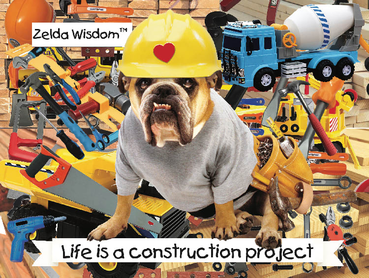 Zelda & Construction Dogs