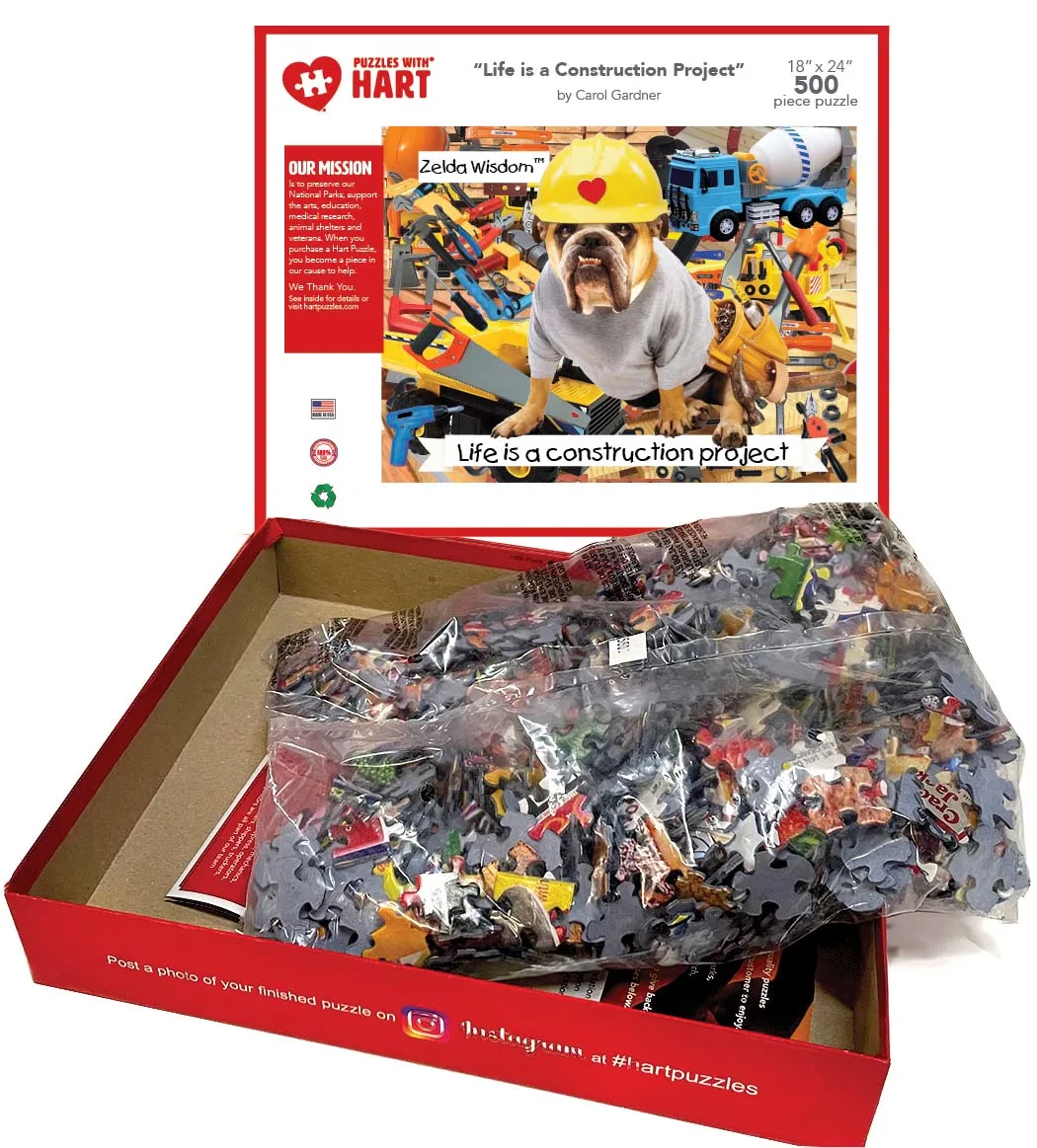 Zelda & Construction