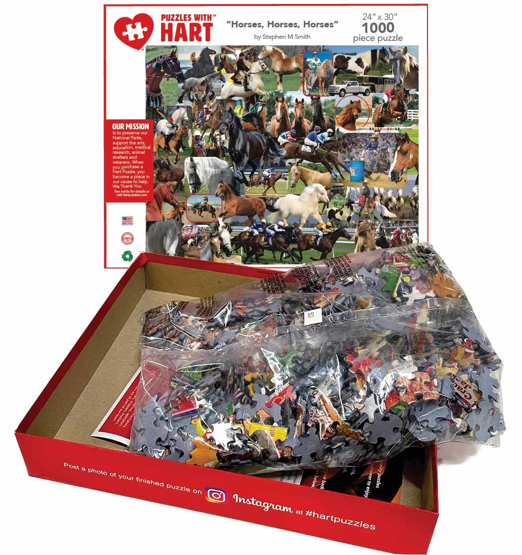 Horses, Horses, Horses