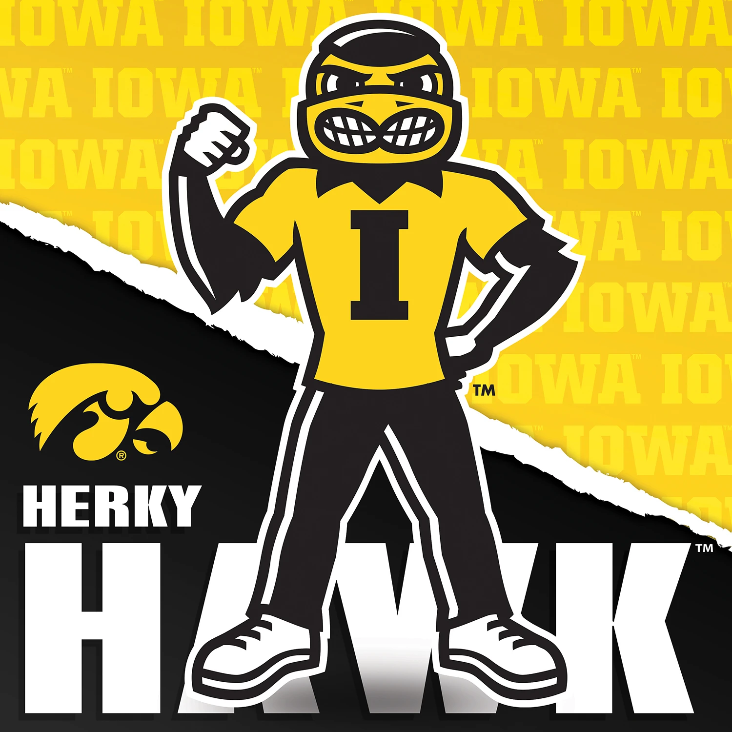 Iowa Hawkeyes NCAA Mascot