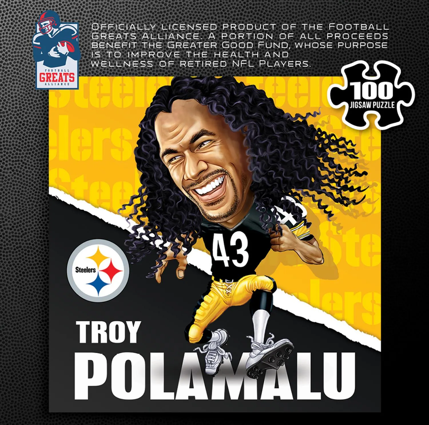 Pittsburgh Steelers NFL All-Time Greats - Troy Polamalu